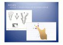 악안면의 성장과 발육 19페이지