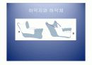 악안면의 성장과 발육 21페이지