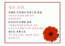 미샤 성공전략 - 미샤 소개 및 제품소개, 인터뷰, 성공요인, 마케팅 전략, 문제점 및 해결방안 9페이지