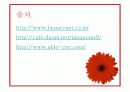 미샤 성공전략 - 미샤 소개 및 제품소개, 인터뷰, 성공요인, 마케팅 전략, 문제점 및 해결방안 18페이지