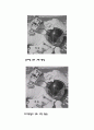 블러링미디언필터 7페이지
