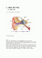 [소리의세계] 사람의 청각 특성과 마스킹 효과 / 사람 귀의 인지 특성과 마스킹 효과 2페이지