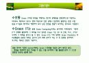 그린 IT 사례조사 3페이지