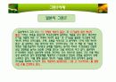 그린 IT 사례조사 8페이지