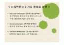 내 머릿속의 시한폭탄 '뇌동맥류' 7페이지