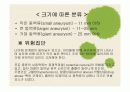내 머릿속의 시한폭탄 '뇌동맥류' 8페이지