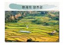 기후와 문화 5페이지