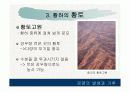 기후와 문화 12페이지