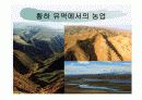 기후와 문화 13페이지