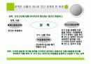 앨빈토플러_권력이동.PPT자료 4페이지