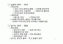 이명박 정부 경제정책의 주요이슈와 과제에 대한 철저한 분석 PPT 5페이지