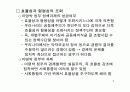 이명박 정부 경제정책의 주요이슈와 과제에 대한 철저한 분석 PPT 9페이지