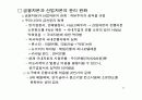 이명박 정부 경제정책의 주요이슈와 과제에 대한 철저한 분석 PPT 17페이지