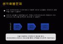 인터넷마케팅- 온라인쇼핑몰과 한정품(한정판,리미티드에디션)의 결합 5페이지