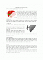 간염(자가면역성 간염) 문헌고찰  1페이지