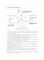 [교육학] 스턴버그(Sternberg)의 삼원지능이론(Triarchic Theory of Intelligence) 4페이지