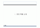 택배사업 현황 및 전략 2페이지