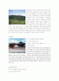 마산창원의 문화재 현황조사 3페이지