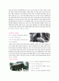 마산창원의 문화재 현황조사 10페이지