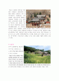 마산창원의 문화재 현황조사 12페이지