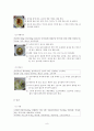 한중일 음식비교 레시피 8페이지