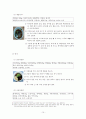 한중일 음식비교 레시피 10페이지
