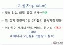 빛의 특성 7페이지