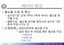태양전지제조공정실무 17페이지