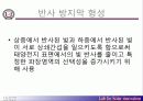 태양전지제조공정실무 19페이지