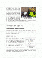 [GMO]GMO(유전자재조합식품) 논란의 원인과 주요쟁점 소개, GMO - 안전성 확보와 식량부족 문제 해결 가능한가? GMO논란의 모든 것 2페이지