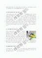 [GMO]GMO(유전자재조합식품) 논란의 원인과 주요쟁점 소개, GMO - 안전성 확보와 식량부족 문제 해결 가능한가? GMO논란의 모든 것 8페이지