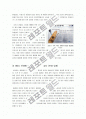 [GMO]GMO(유전자재조합식품) 논란의 원인과 주요쟁점 소개, GMO - 안전성 확보와 식량부족 문제 해결 가능한가? GMO논란의 모든 것 11페이지