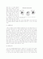 [생명공학, 생명공학기술] 생명공학 정리(생명공학의 정의와 특징 및 생명공학 산업) 15페이지