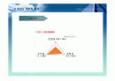 주식투자와 관련된 경제 분석, 산업분석, 기업 분석 29페이지