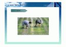 주식투자와 관련된 경제 분석, 산업분석, 기업 분석 40페이지
