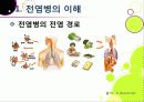 [신종인플루엔자]신종 인플루엔자(돼지독감)와 전염병의 이해, 지구 대유행병(팬데믹)으로 번지고 있는 신종플루의 심각성과 대책 6페이지