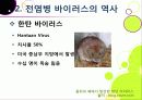 [신종인플루엔자]신종 인플루엔자(돼지독감)와 전염병의 이해, 지구 대유행병(팬데믹)으로 번지고 있는 신종플루의 심각성과 대책 12페이지