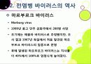 [신종인플루엔자]신종 인플루엔자(돼지독감)와 전염병의 이해, 지구 대유행병(팬데믹)으로 번지고 있는 신종플루의 심각성과 대책 16페이지
