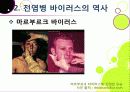 [신종인플루엔자]신종 인플루엔자(돼지독감)와 전염병의 이해, 지구 대유행병(팬데믹)으로 번지고 있는 신종플루의 심각성과 대책 17페이지