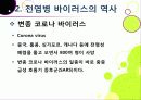 [신종인플루엔자]신종 인플루엔자(돼지독감)와 전염병의 이해, 지구 대유행병(팬데믹)으로 번지고 있는 신종플루의 심각성과 대책 18페이지