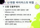 [신종인플루엔자]신종 인플루엔자(돼지독감)와 전염병의 이해, 지구 대유행병(팬데믹)으로 번지고 있는 신종플루의 심각성과 대책 22페이지