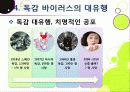 [신종인플루엔자]신종 인플루엔자(돼지독감)와 전염병의 이해, 지구 대유행병(팬데믹)으로 번지고 있는 신종플루의 심각성과 대책 26페이지