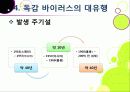 [신종인플루엔자]신종 인플루엔자(돼지독감)와 전염병의 이해, 지구 대유행병(팬데믹)으로 번지고 있는 신종플루의 심각성과 대책 29페이지