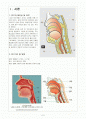 ○급성 후두개염○ Acute epiglottitis 2페이지