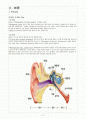 Chronic otitis media 만성중이염 케이스 2페이지