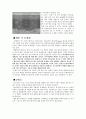 메탄하이드레이트와 개발 4페이지