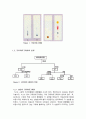 TLC 결과레포트 6페이지