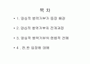 양심적 병역거부 2페이지