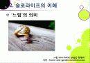 [슬로우라이프]슬로우라이프의 정의와 필요성 및 긍정적 효과 이해, 슬로라이프의 실천과(슬로푸드, 슬로시티, 슬로관광) 느림의 미학 7페이지