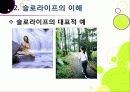 [슬로우라이프]슬로우라이프의 정의와 필요성 및 긍정적 효과 이해, 슬로라이프의 실천과(슬로푸드, 슬로시티, 슬로관광) 느림의 미학 15페이지